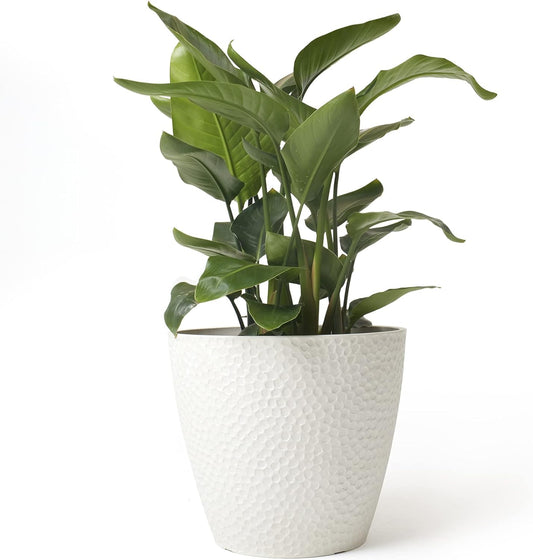 Elegant White Flower Planter