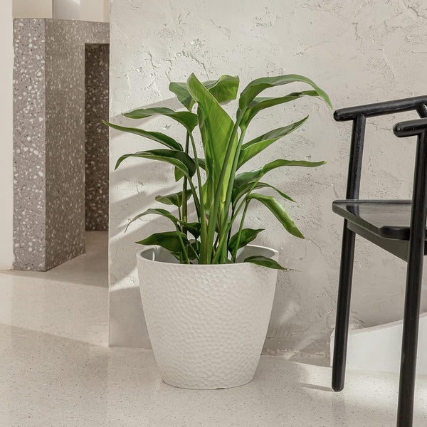 Elegant White Flower Planter