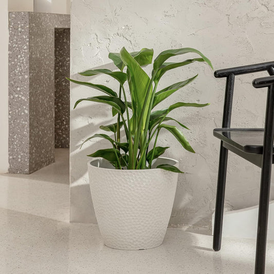 Elegant White Flower Planter