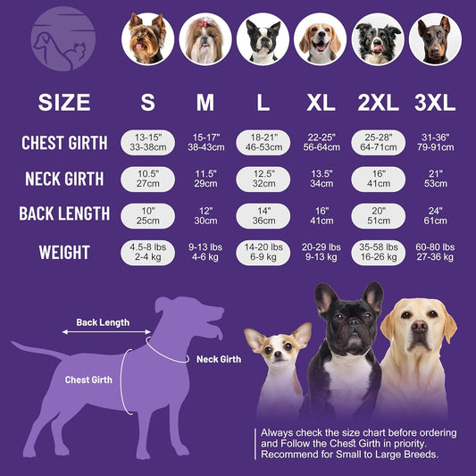 Cozy Canine Sweater Set (Medium)