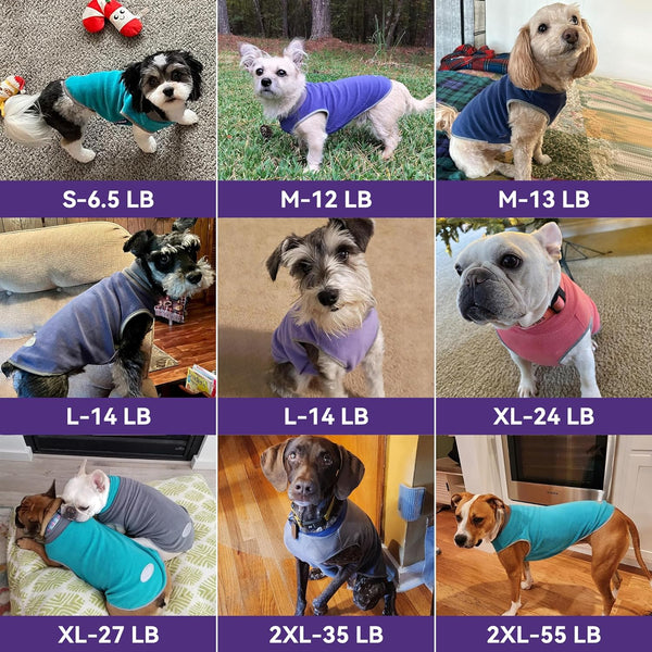 Cozy Canine Sweater Set